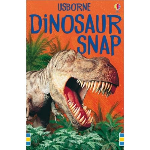 Dinosaur Snap by Usborne