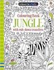 Colouring Book Jungle with Rub Down Transfers by Usborne