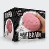 Giant Stress Brain Fidget Toy 8+