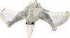 19" Pterodactyl Plush Soft Toy T-Rex 0+